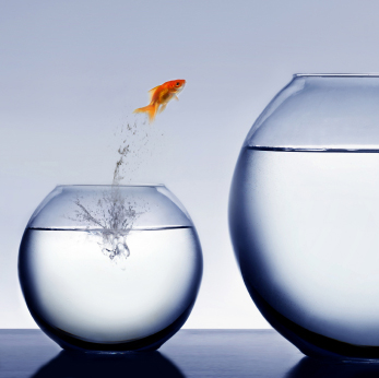 Marketing will grow your business.